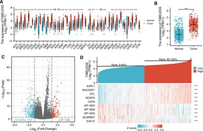 High Expression of TIMELESS Predicts Poor Prognosis: A Potential Therapeutic Target for Skin Cutaneous Melanoma